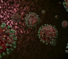 Mehmet Ceyhan açıkladı! İşte maymun çiçeğinde en riskli il