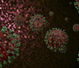 Tayland’da ülke dışından gelen bir kişide M çiçeği virüsü tespit edildi