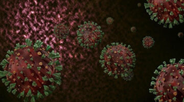 Tayland’da ülke dışından gelen bir kişide M çiçeği virüsü tespit edildi