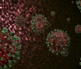 Türkiye’de maymun çiçeği görüldü mü? ‘Karantina’ iddiasına Ankara İl Sağlık Müdürlüğünden açıklama geldi