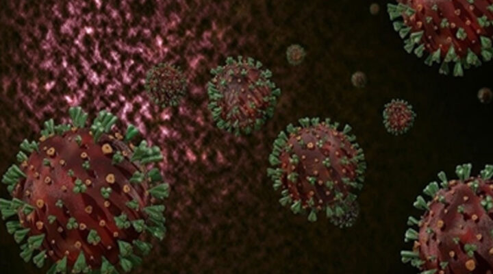 Türkiye’de maymun çiçeği görüldü mü? ‘Karantina’ iddiasına Ankara İl Sağlık Müdürlüğünden açıklama geldi