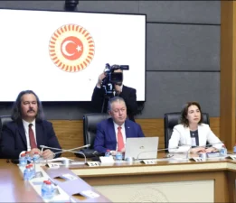 TİMBİR Akademik Kurul Başkanı Prof. Dr. Kamer’den TBMM’de dijital güvenlik sunumu: “Çocukların dijital güvenliği artırılmalı”